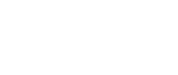 Microbuswhite