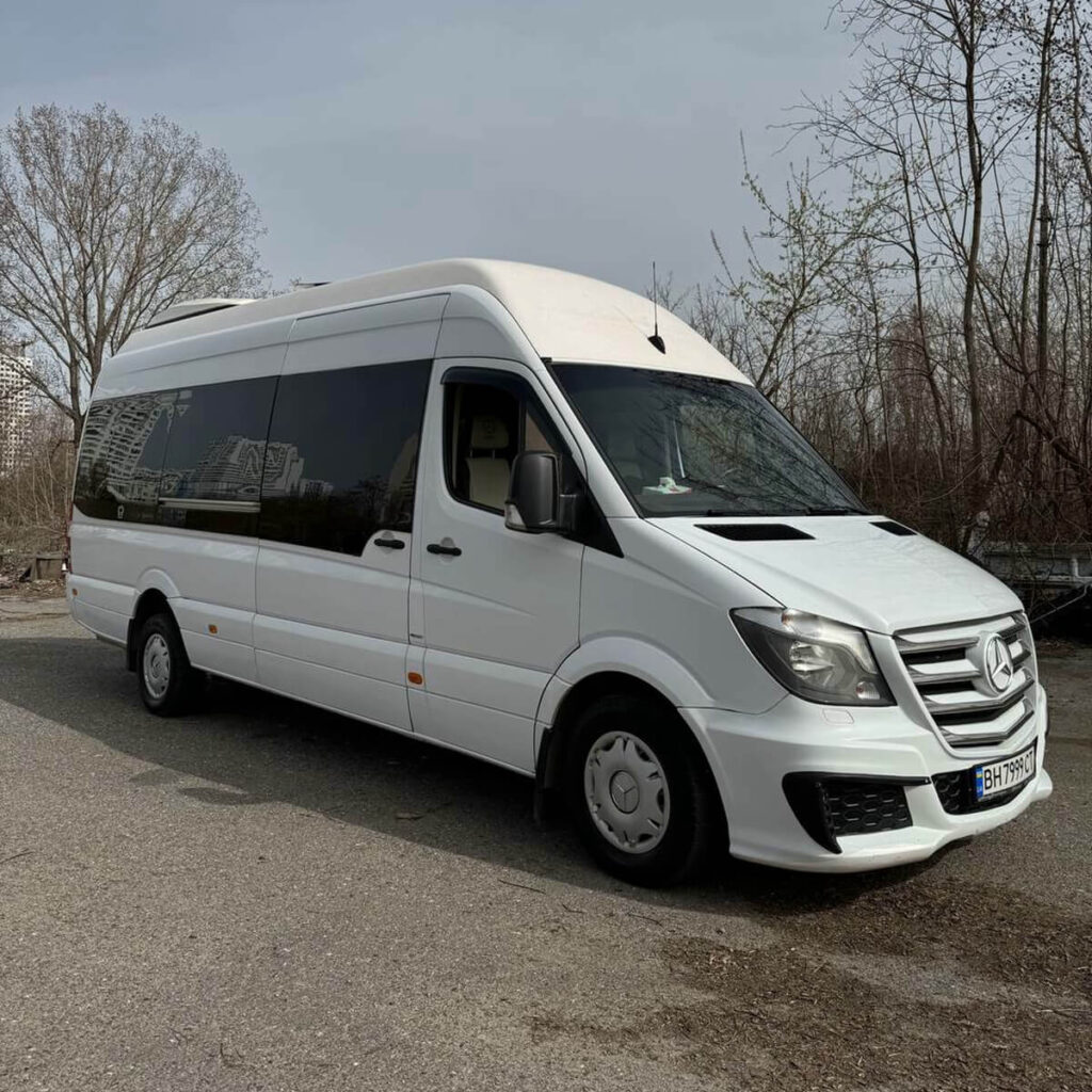 Mercedesmicrobus1